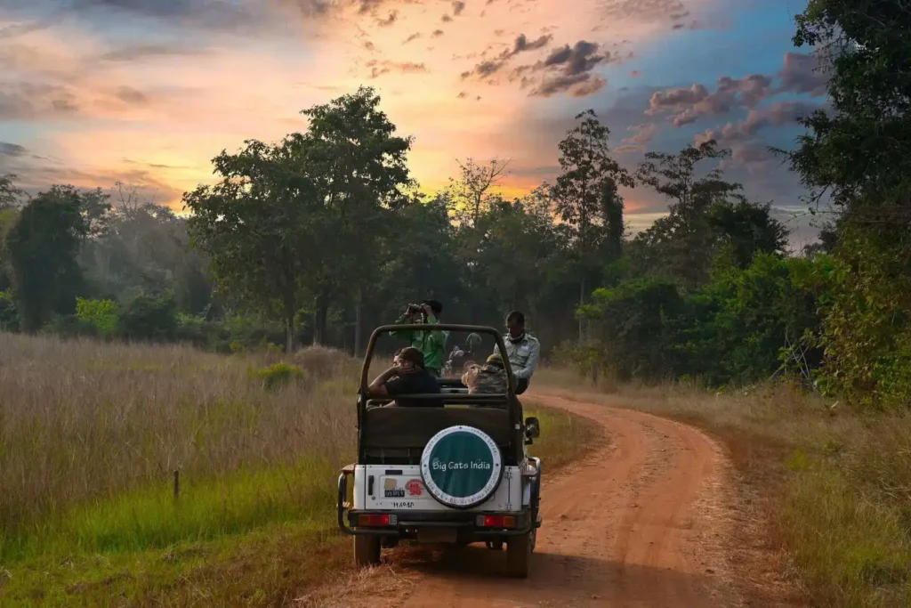Complete Guide to Booking a Jeep Safari in Kanha National Park